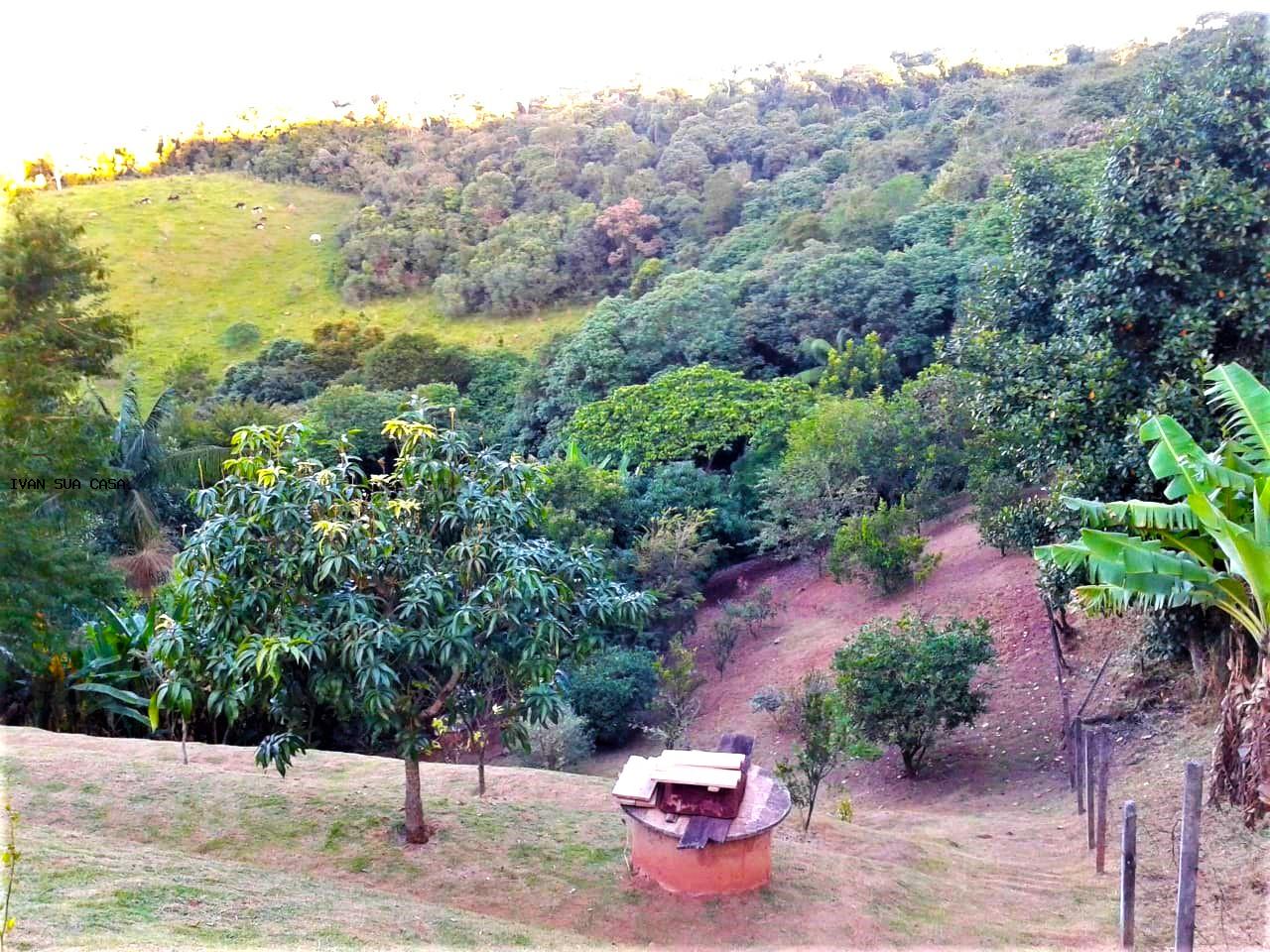 Fazenda, 3000 m² - Foto 15