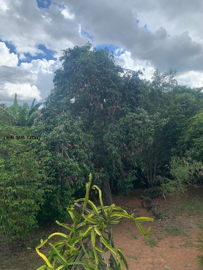 Chácara, 3 quartos, 5000 m² - Foto 10