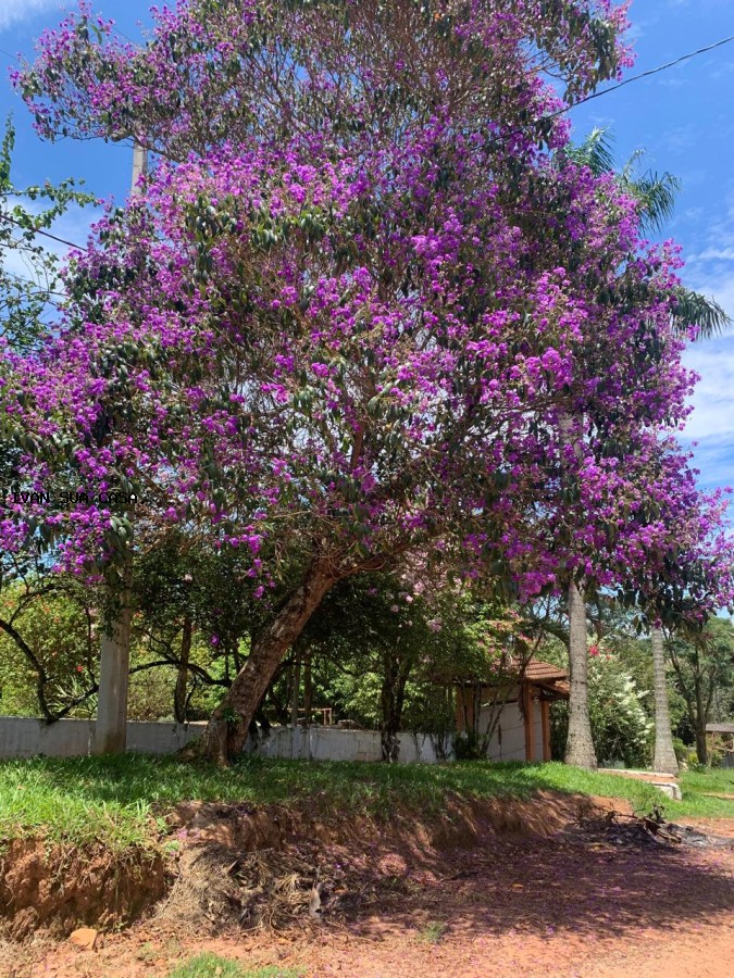 Chácara, 3 quartos, 5000 m² - Foto 21