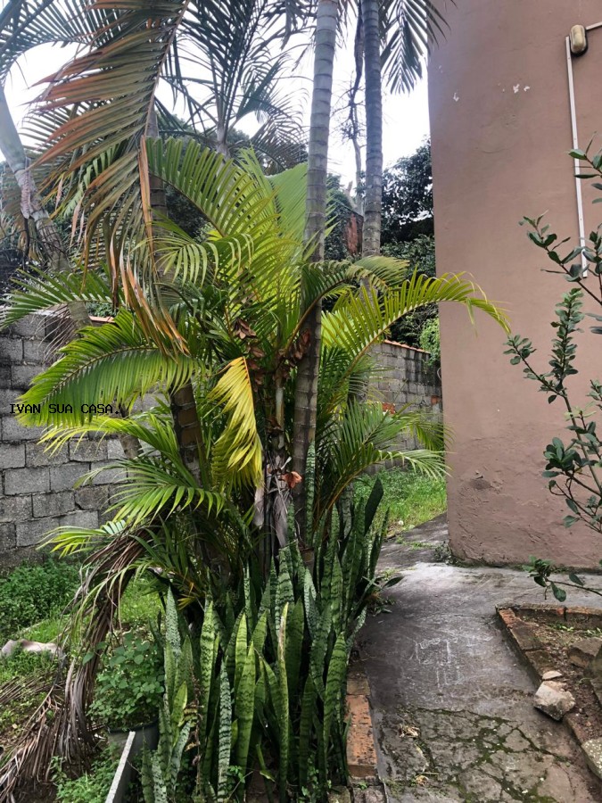 Casa, 5 quartos, 1200 m² - Foto 30