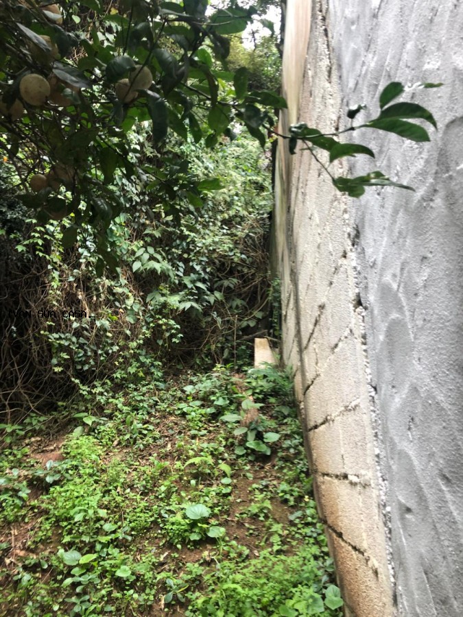 Casa, 5 quartos, 1200 m² - Foto 35