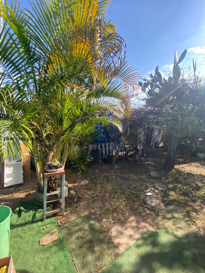 Casa, 5 quartos, 250 m² - Foto 26