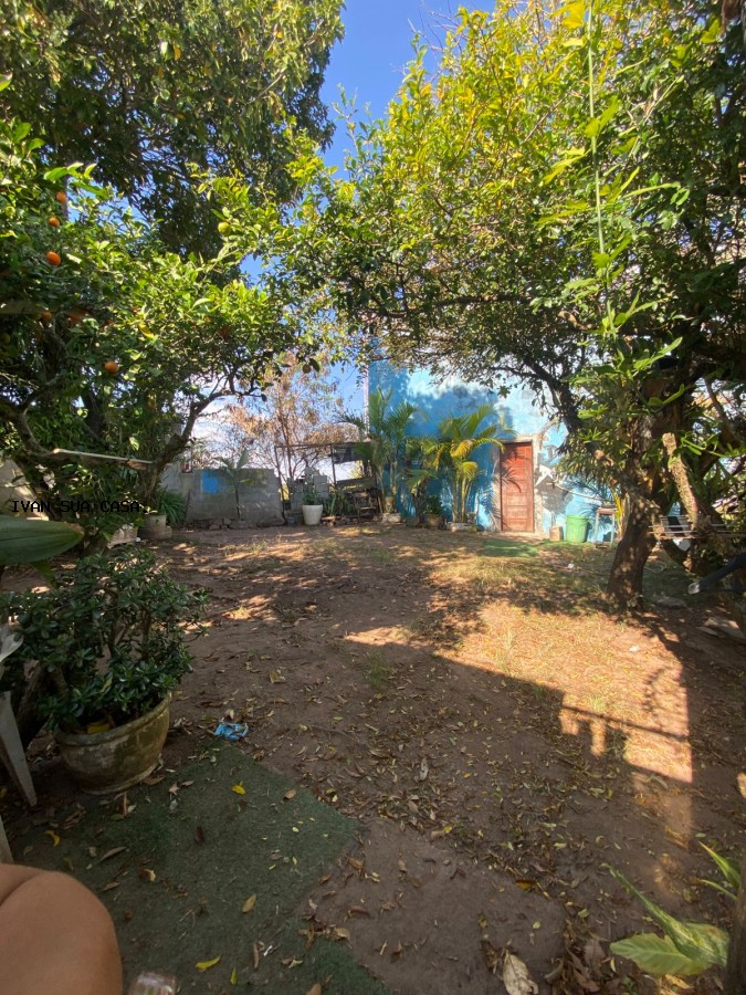 Casa, 5 quartos, 250 m² - Foto 28