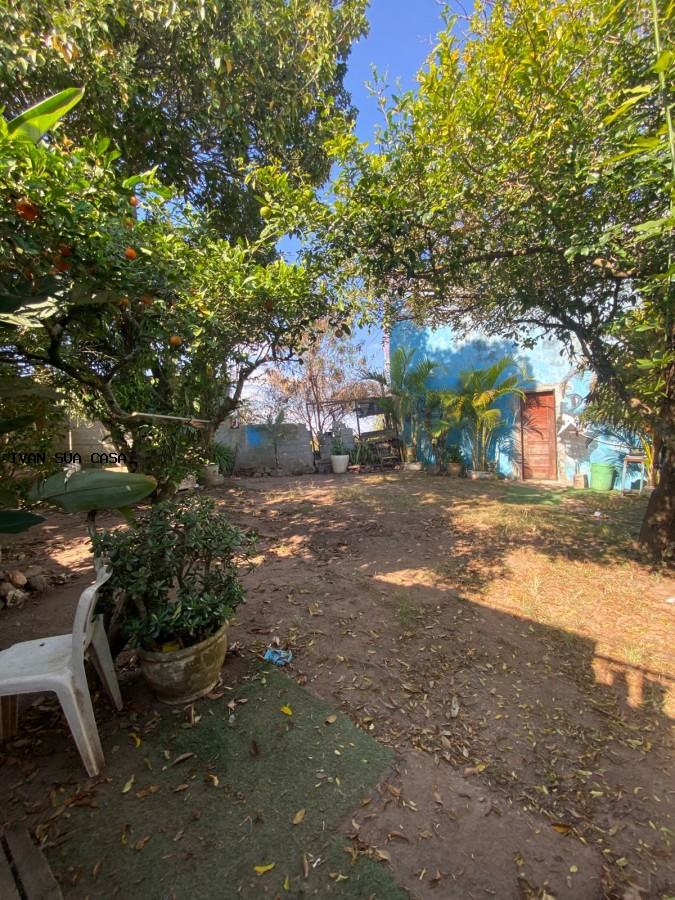Casa, 5 quartos, 250 m² - Foto 31