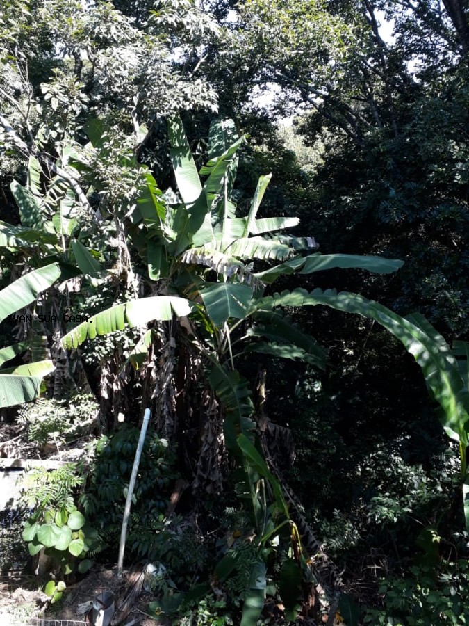 Fazenda, 5200 m² - Foto 22