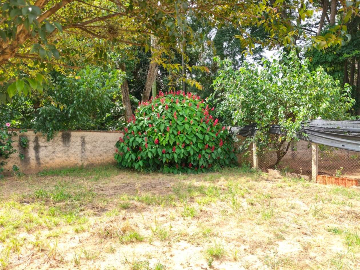 Fazenda, 2480 m² - Foto 20