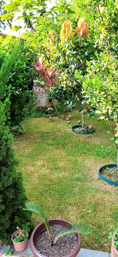 Casa, 3 quartos, 660 m² - Foto 17