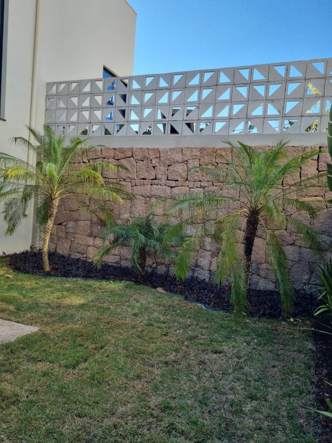 Casa, 3 quartos, 890 m² - Foto 14