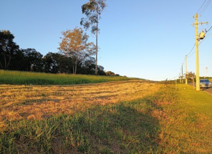 Terreno, 1000 m² - Foto 6
