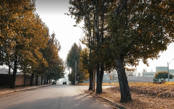 Terreno, 1000 m² - Foto 13
