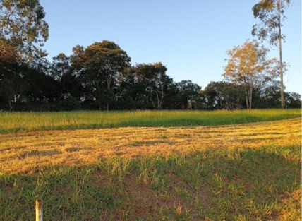 Terreno, 1000 m² - Foto 2