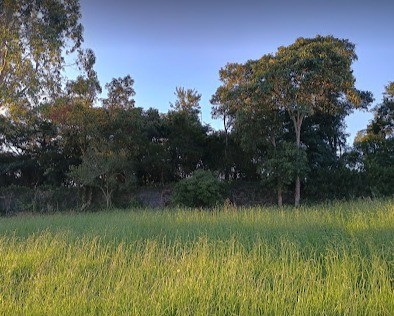 Terreno, 1000 m² - Foto 8